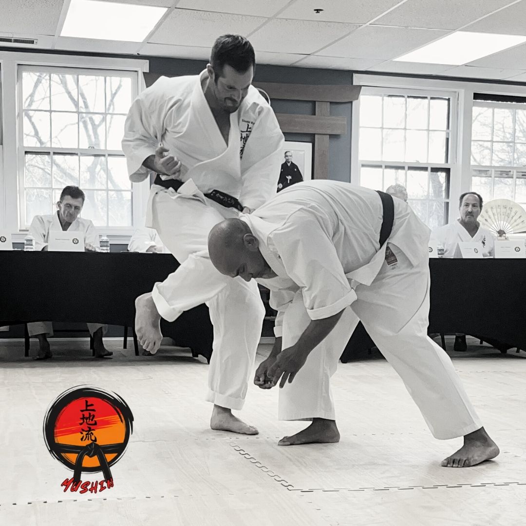 Uechi Ryu Karate Monthly Membership