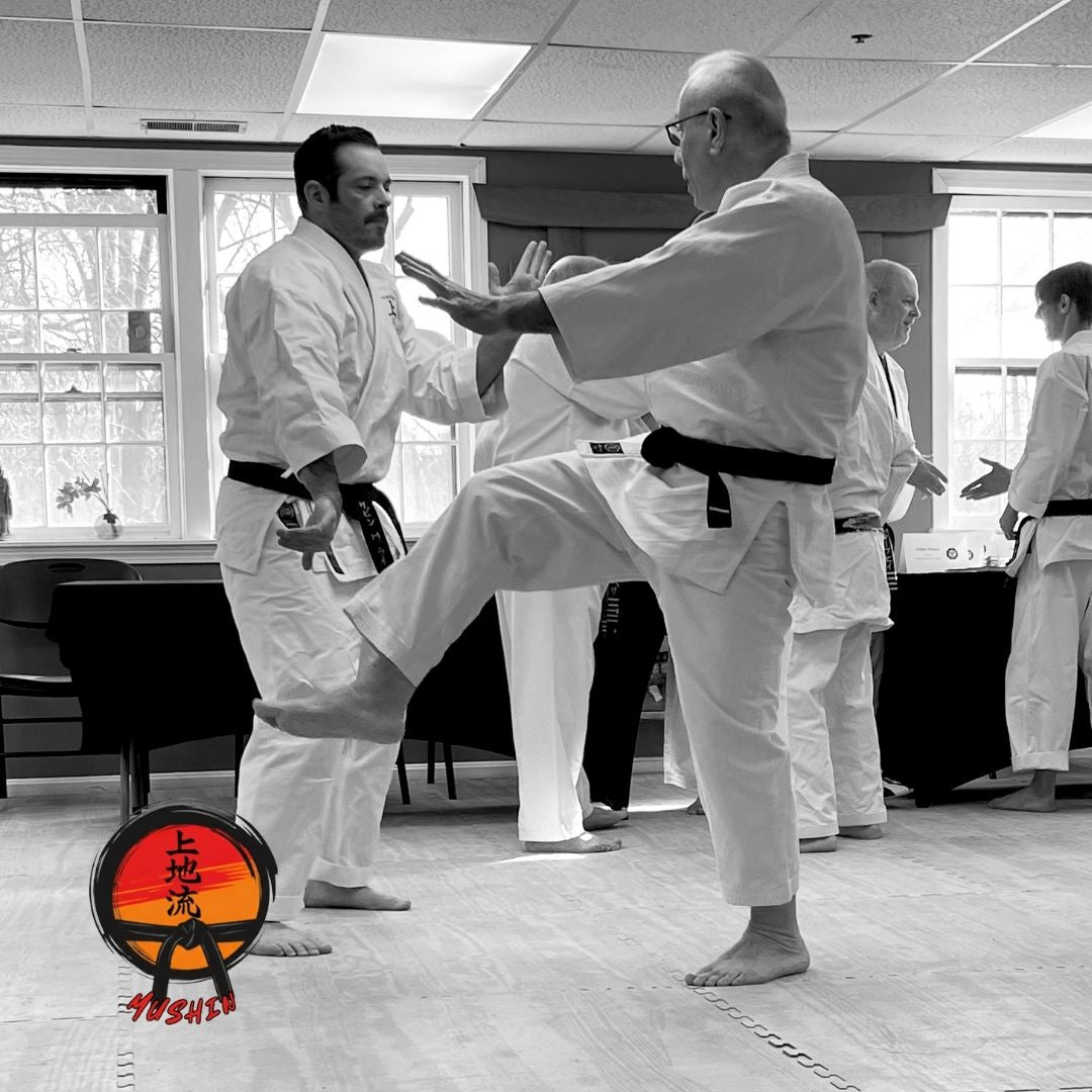 Uechi Ryu Karate Yearly Membership